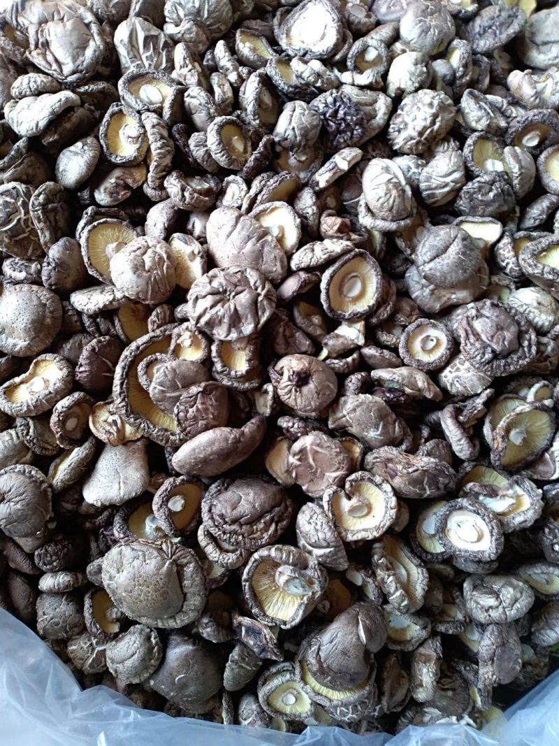 香菇干货500g干香菇冬菇菌菇花菇干货农家特产