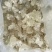 雪燕特级缅甸拉丝雪燕
