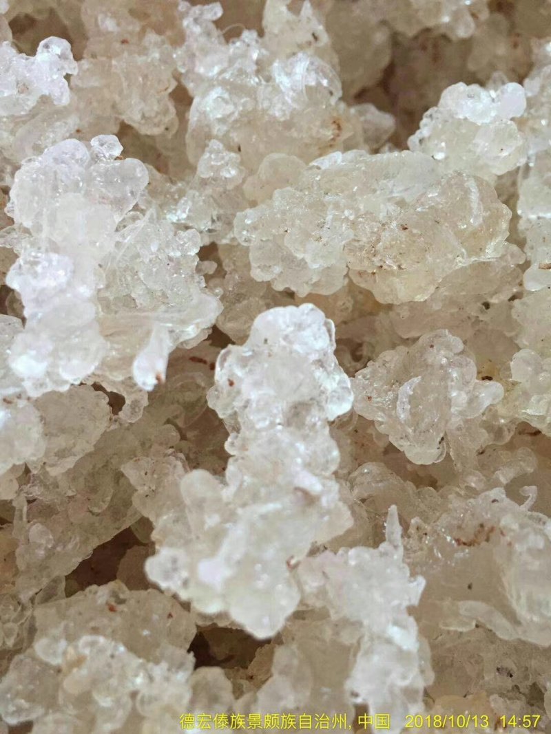 雪燕特级缅甸拉丝雪燕