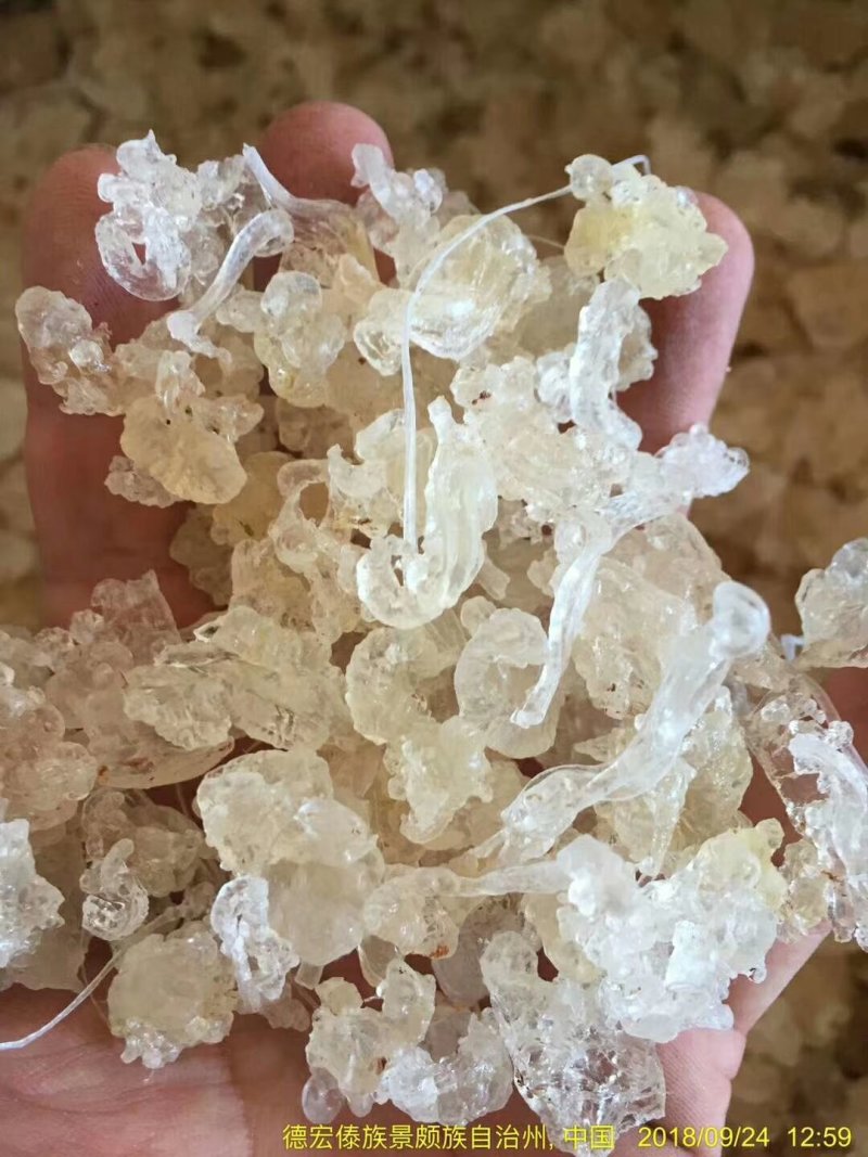 雪燕特级缅甸拉丝雪燕