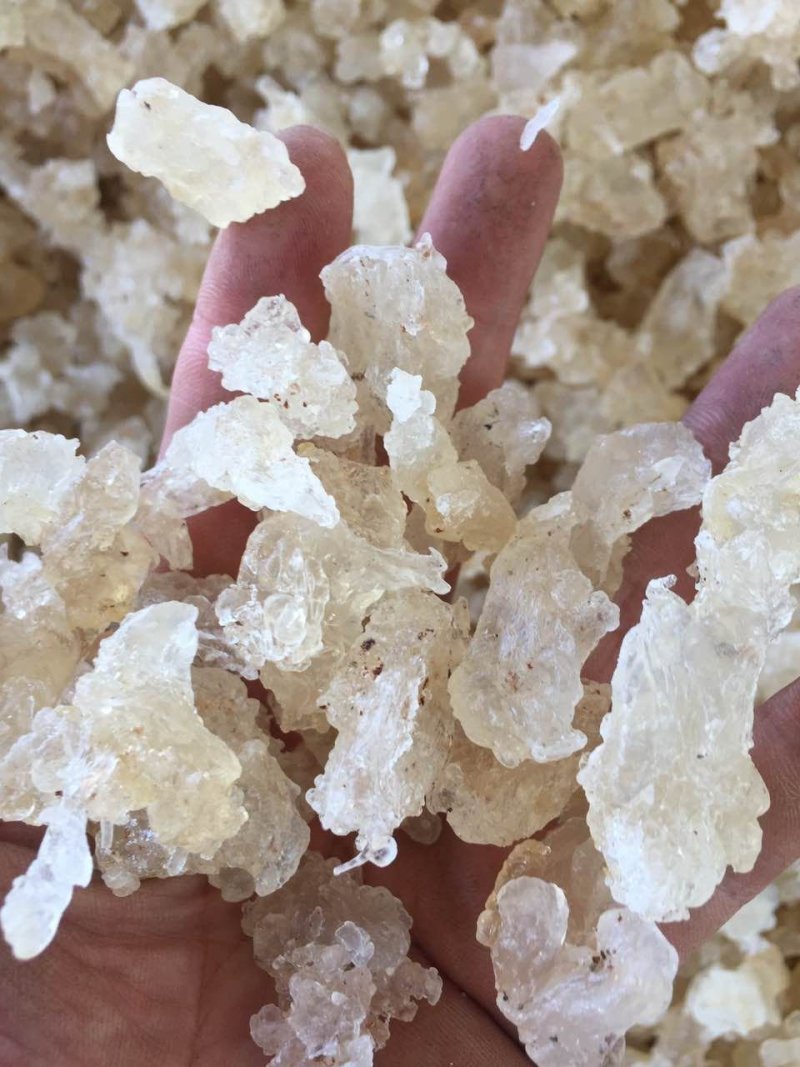 雪燕特级缅甸拉丝雪燕