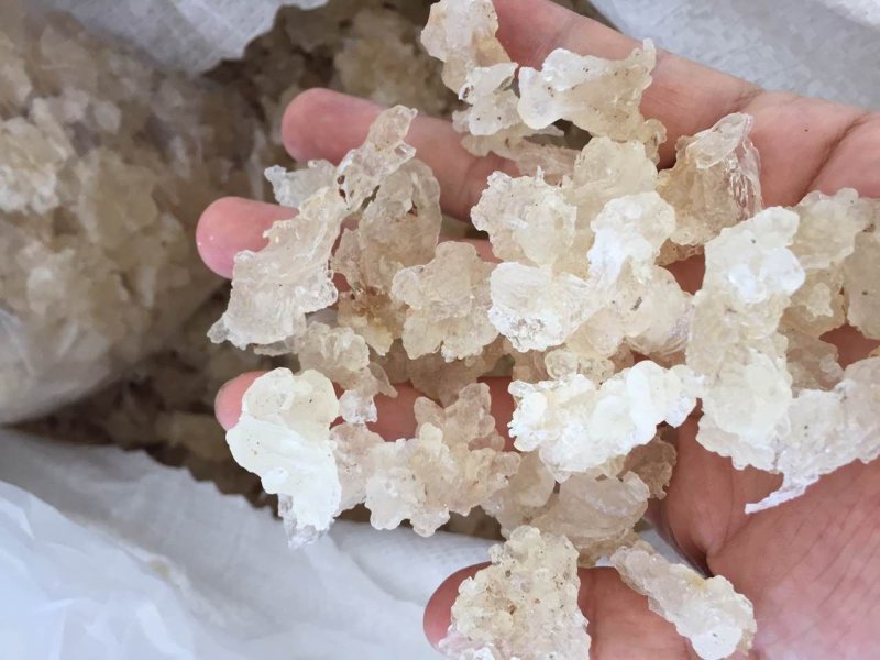 雪燕特级缅甸拉丝雪燕