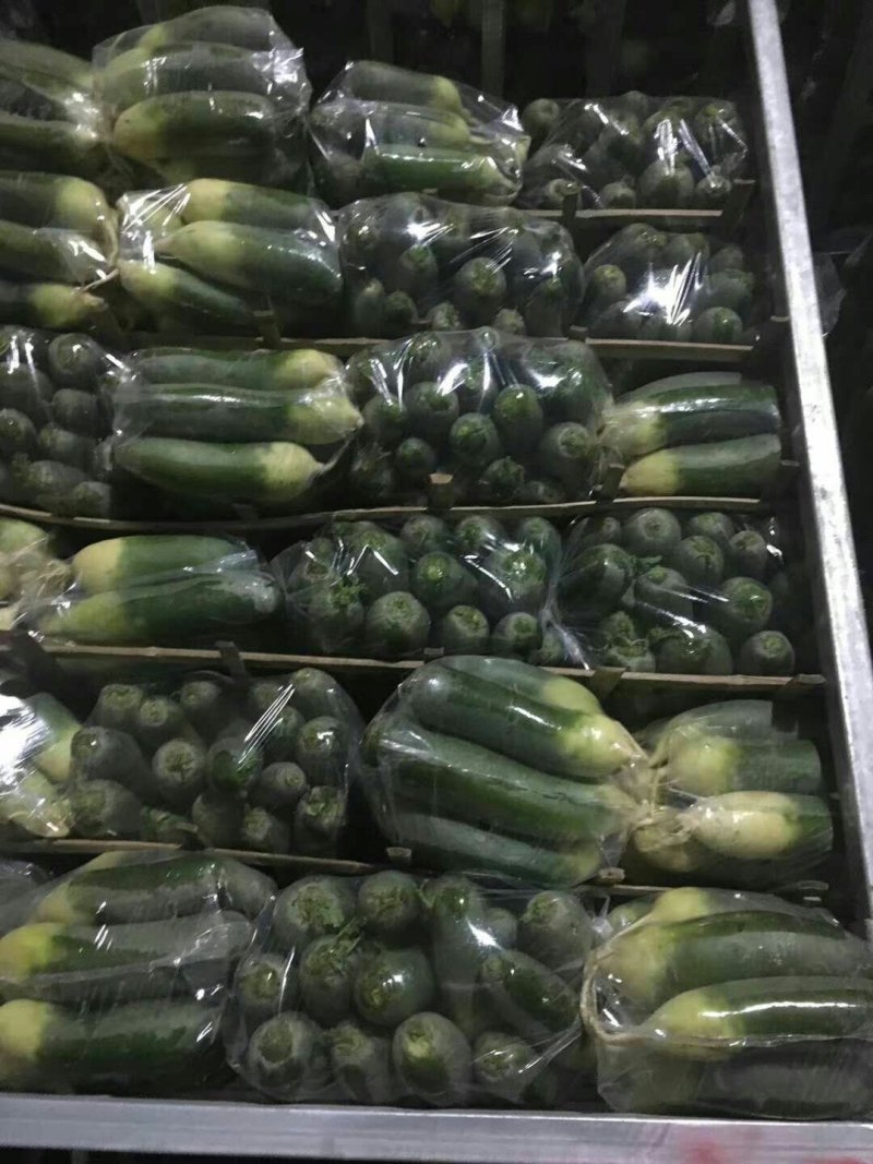 水果青萝卜