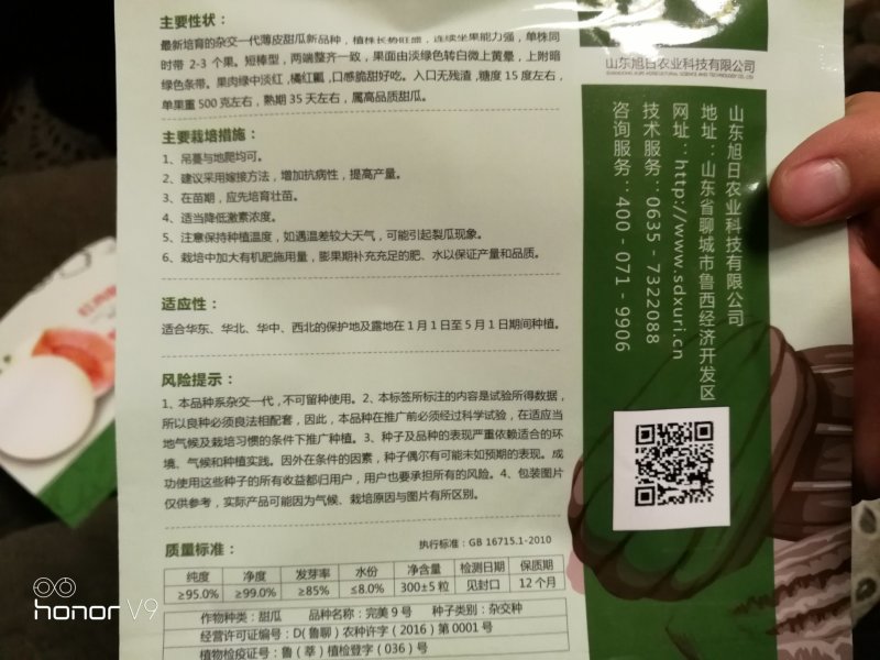 【高端】完美9号博洋9号甜瓜种子甜度高品质好抗病强