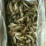 各种海产品，应有尽有