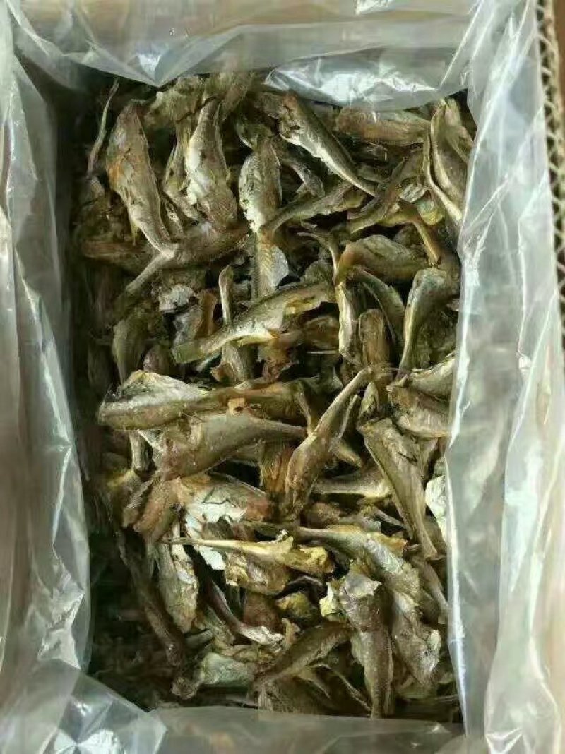 各种海产品，应有尽有
