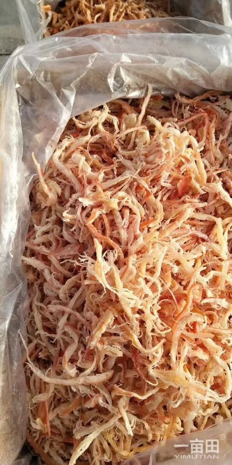 各种海产品，应有尽有