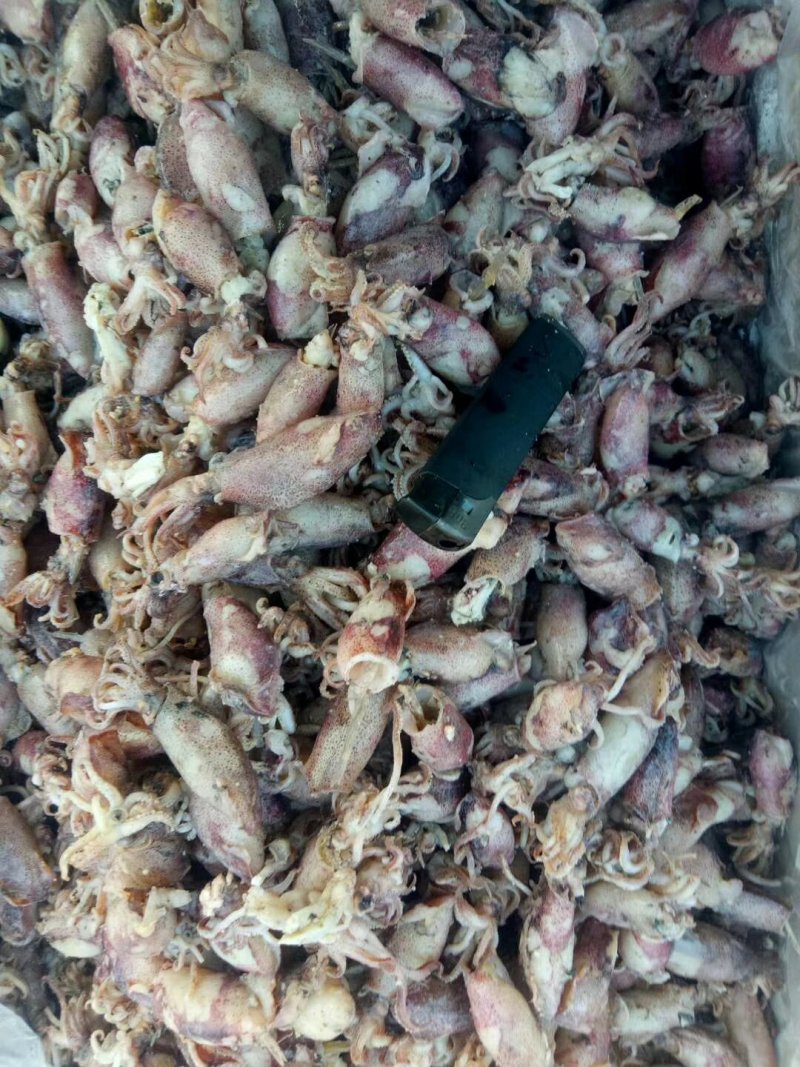 各种海产品，应有尽有