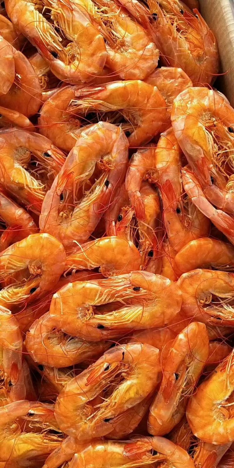各种海产品，应有尽有