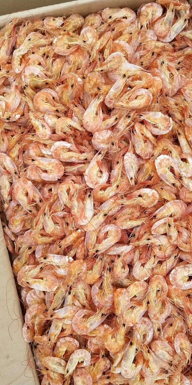 各种海产品，应有尽有