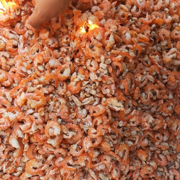 各种海产品，应有尽有