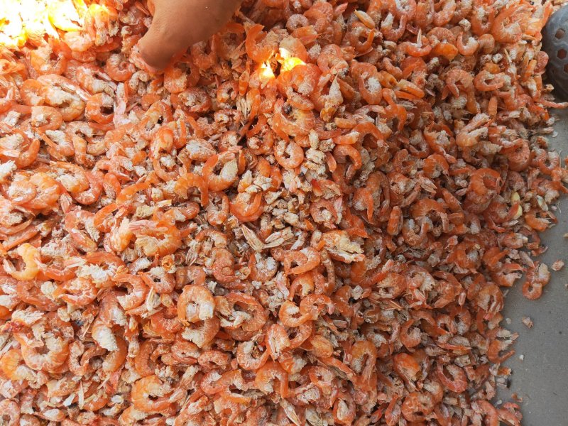 各种海产品，应有尽有