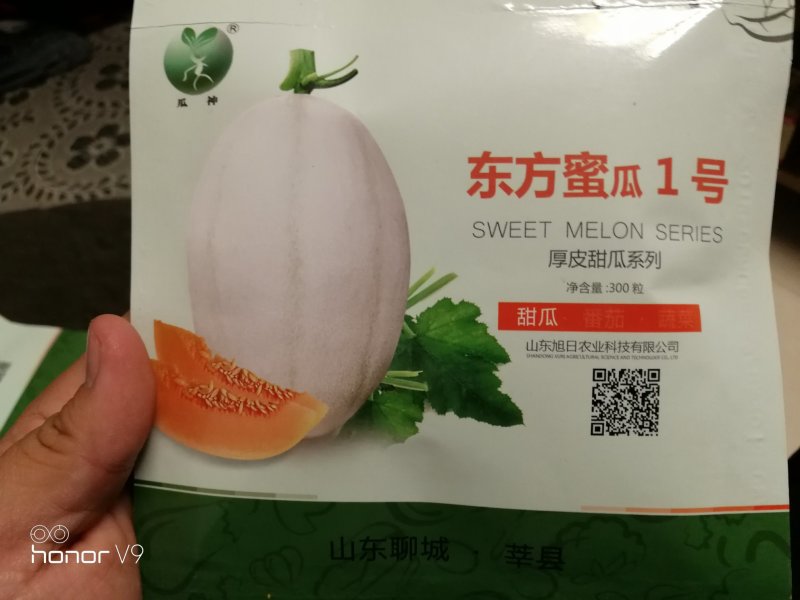 红肉东方蜜一号甜瓜种子白皮红壤甜瓜种子甜度高口感好