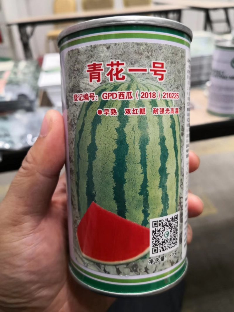 双红瓤青花一号2020年平均重40斤，西瓜种子