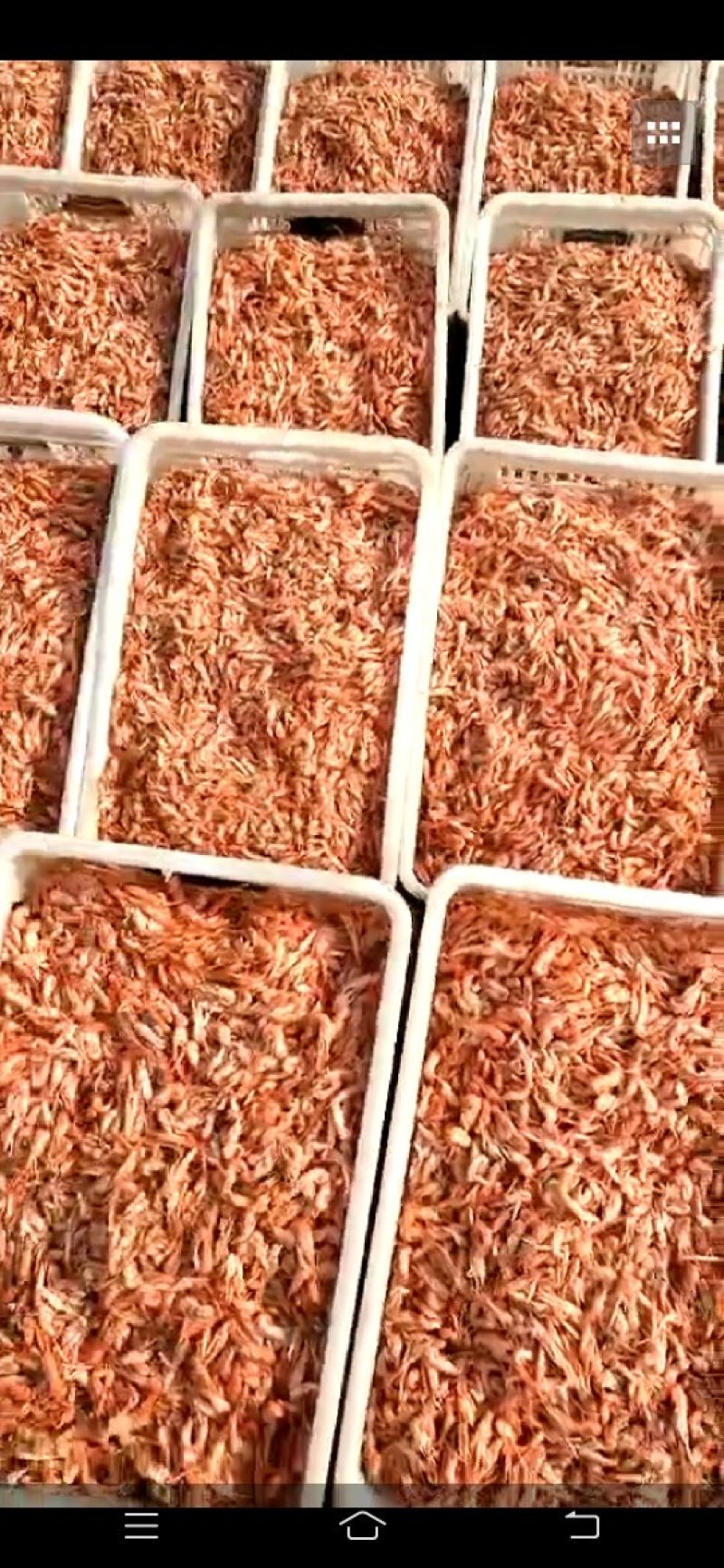爪虾