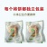 柿饼，正宗的富平柿饼，一百斤起批发，价格以批发价为准