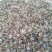 多肉供应，量大从优