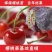 车厘子树苗当年结果南方北方种植樱桃树大樱桃苗嫁接苗果苗果