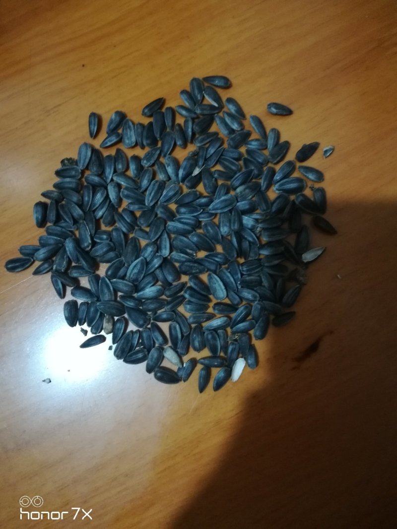 四级压榨葵花油