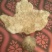 花架花盆书桌装饰石头