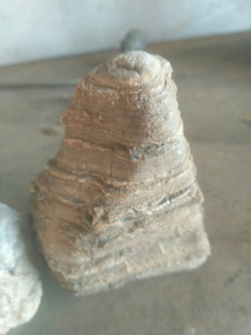 花架花盆书桌装饰石头