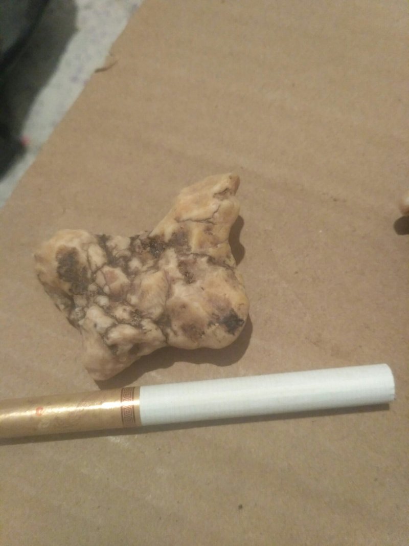 花架花盆书桌装饰石头