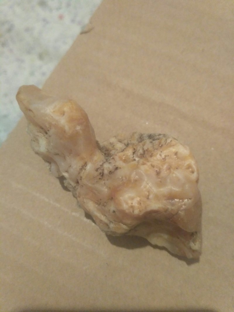 花架花盆书桌装饰石头