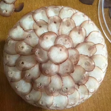 《明轩鹿业》鹿鞭片足干鹿鞭鹿鞭片鹿鞭