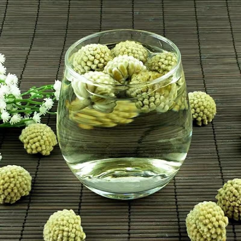 绿萝花