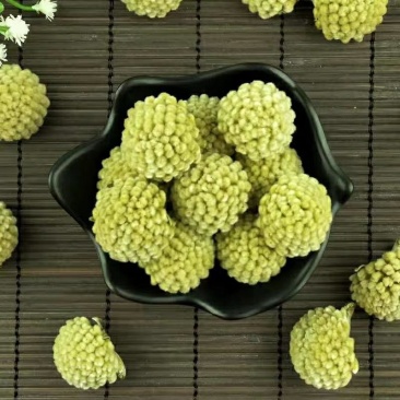 绿萝花
