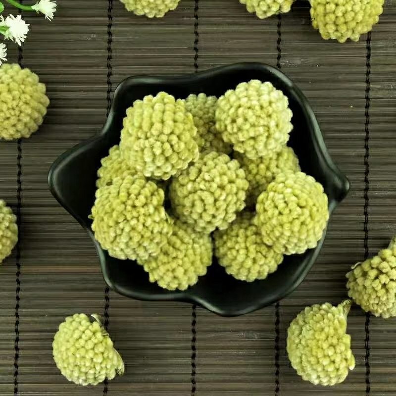 绿萝花