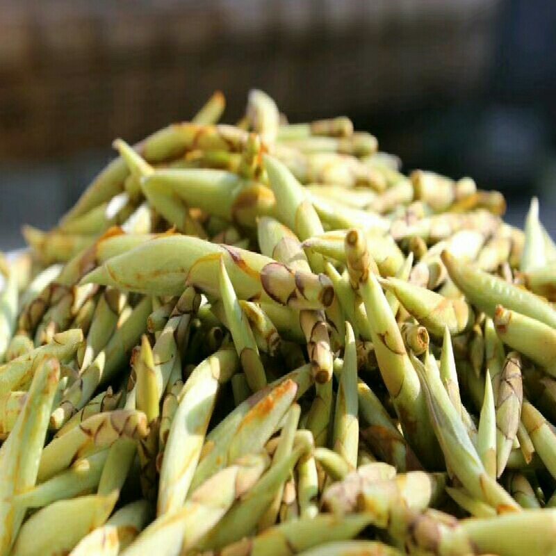 茶！白茶！老鹰茶！老林茶！大茶！红茶