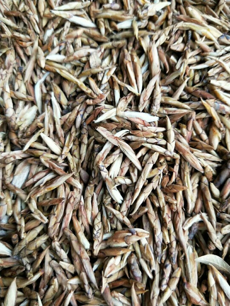 茶！白茶！老鹰茶！老林茶！大茶！红茶