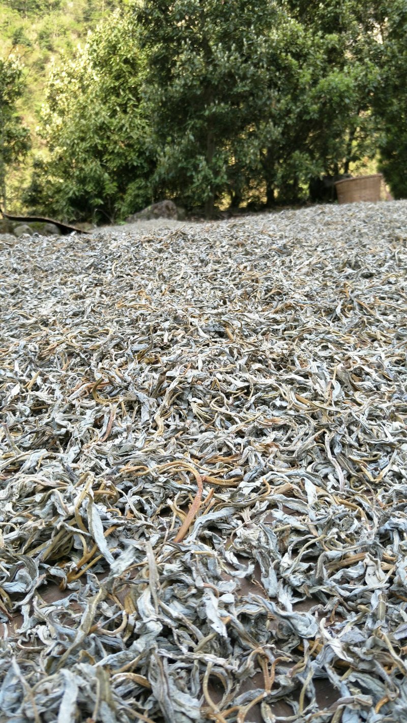 茶！白茶！老鹰茶！老林茶！大茶！红茶