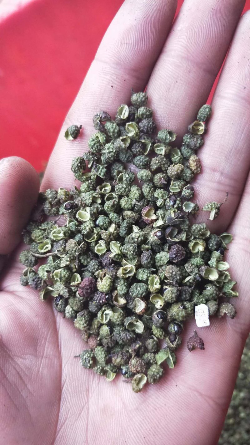 青花椒供应
