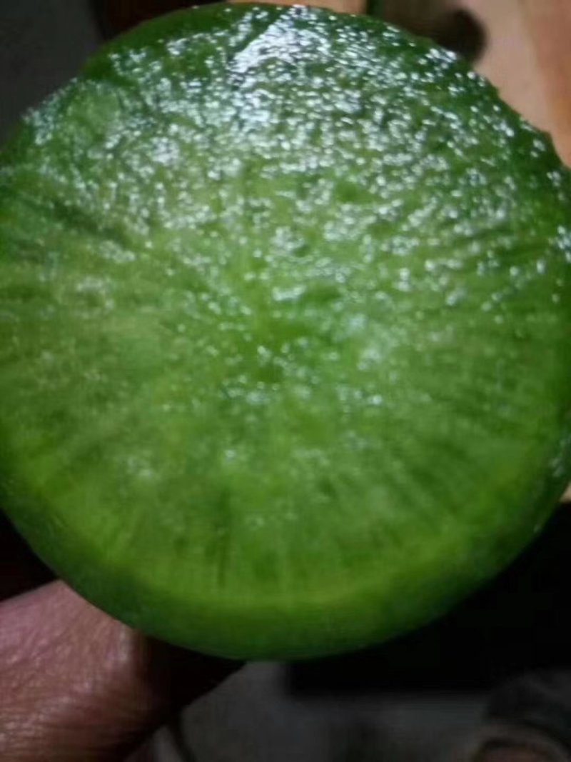 水果萝卜1.5-2.5斤起，口感甜脆，大棚种植，现货