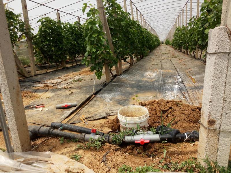文丘里施肥噐大棚作物、小面积园水肥一体化灌溉施肥