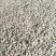 香橙种子