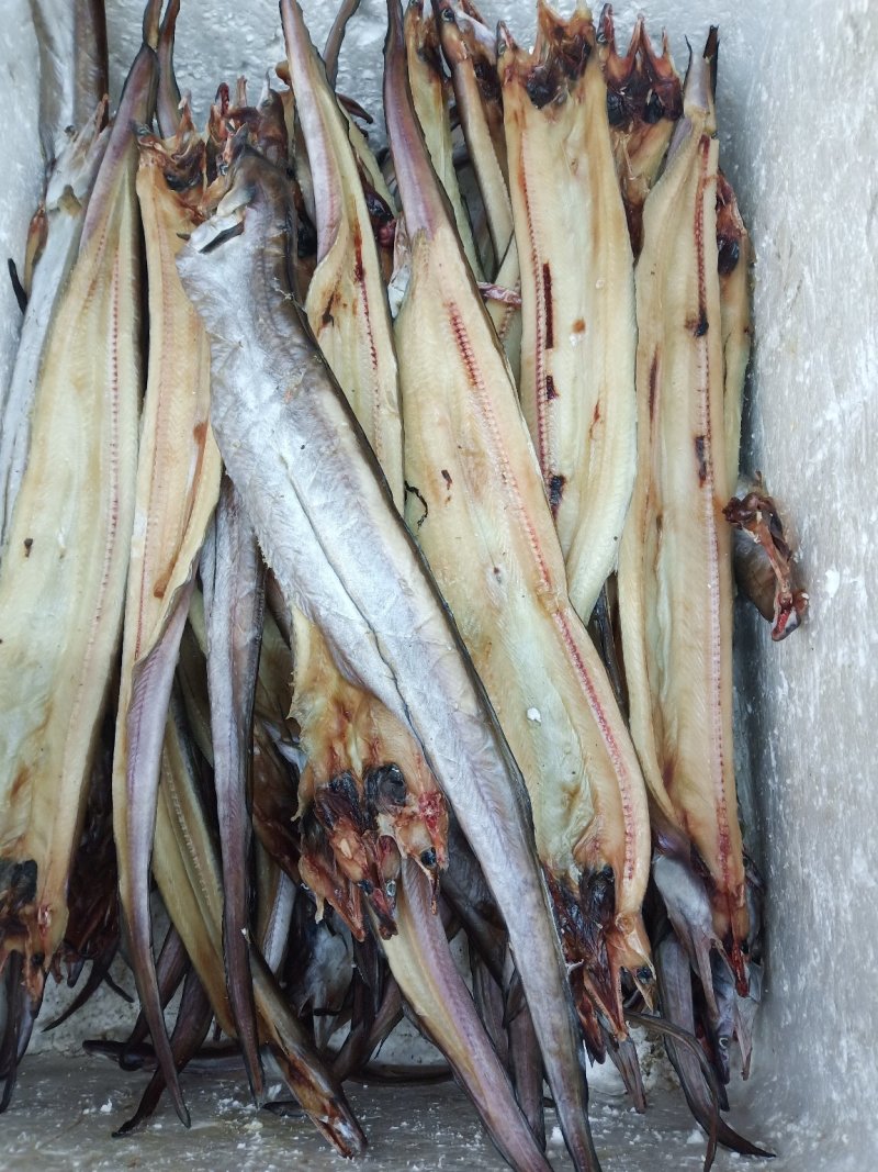 鳗鱼干