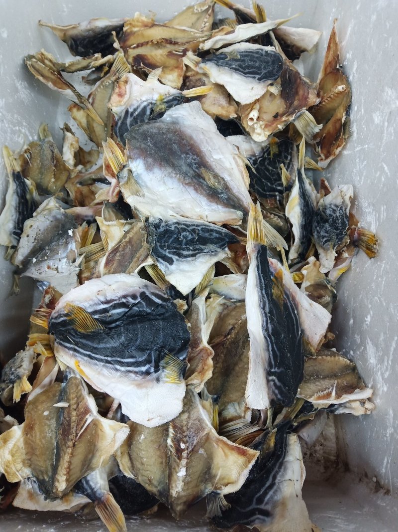 海鲀干