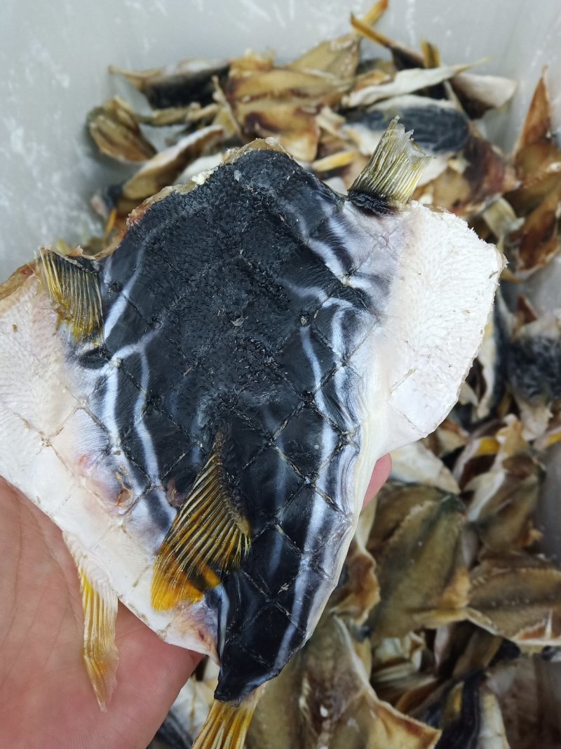 海鲀干