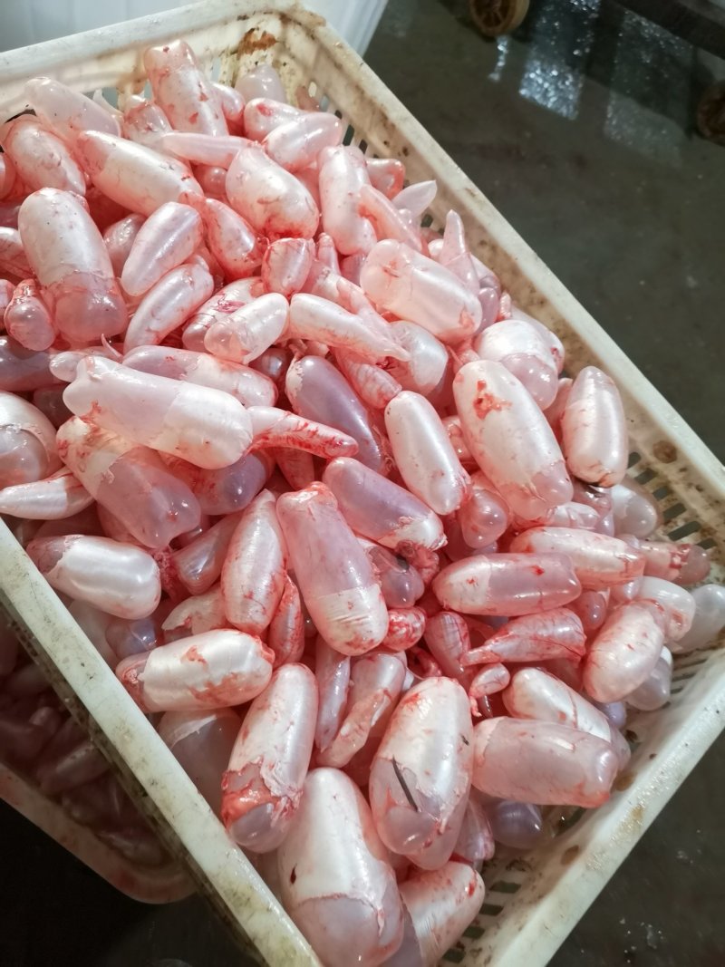 鱼籽，鱼泡