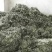 艾草