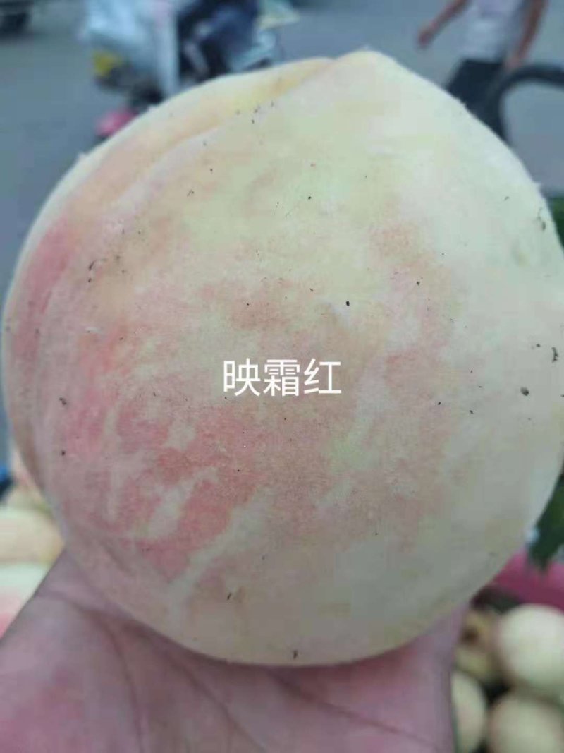梨树苗，桃树苗，各种小杂果品种齐全