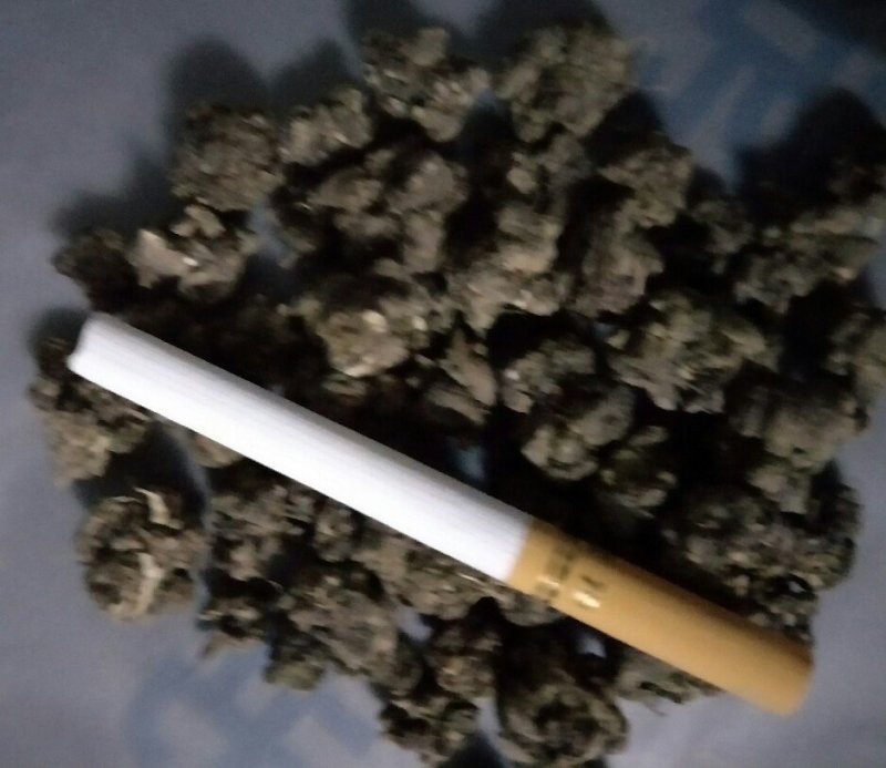 猫爪草中药材