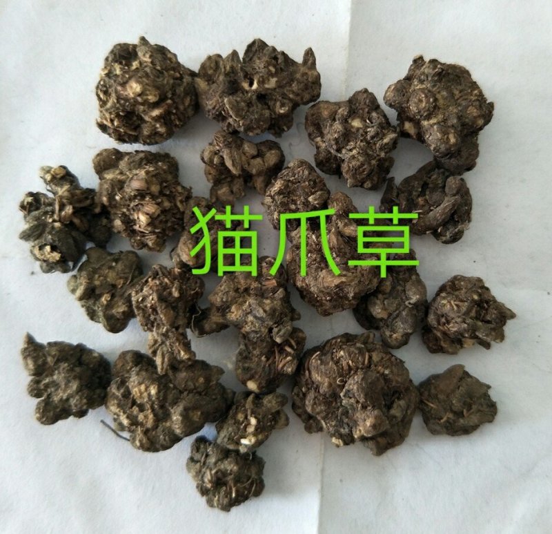 猫爪草中药材
