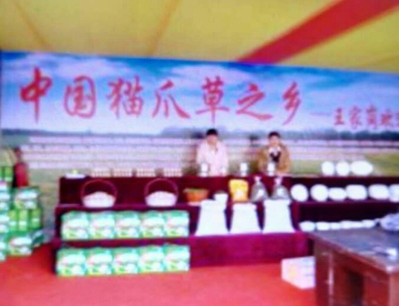 猫爪草中药材
