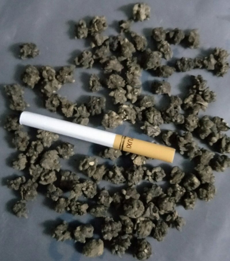 猫爪草中药材
