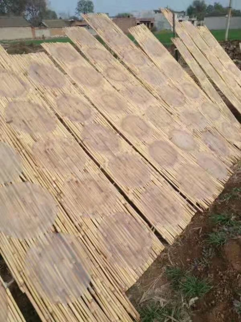 红薯