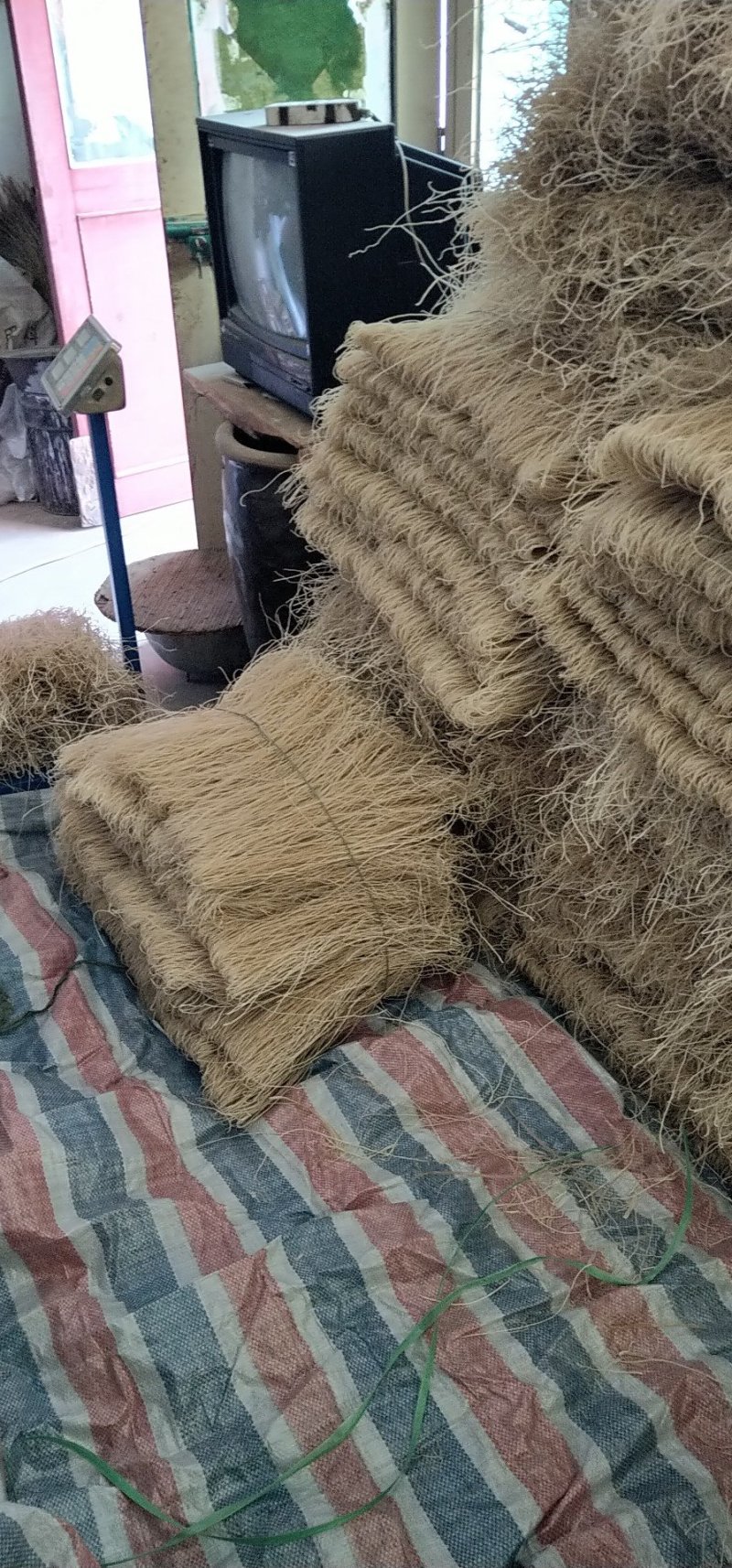 红薯